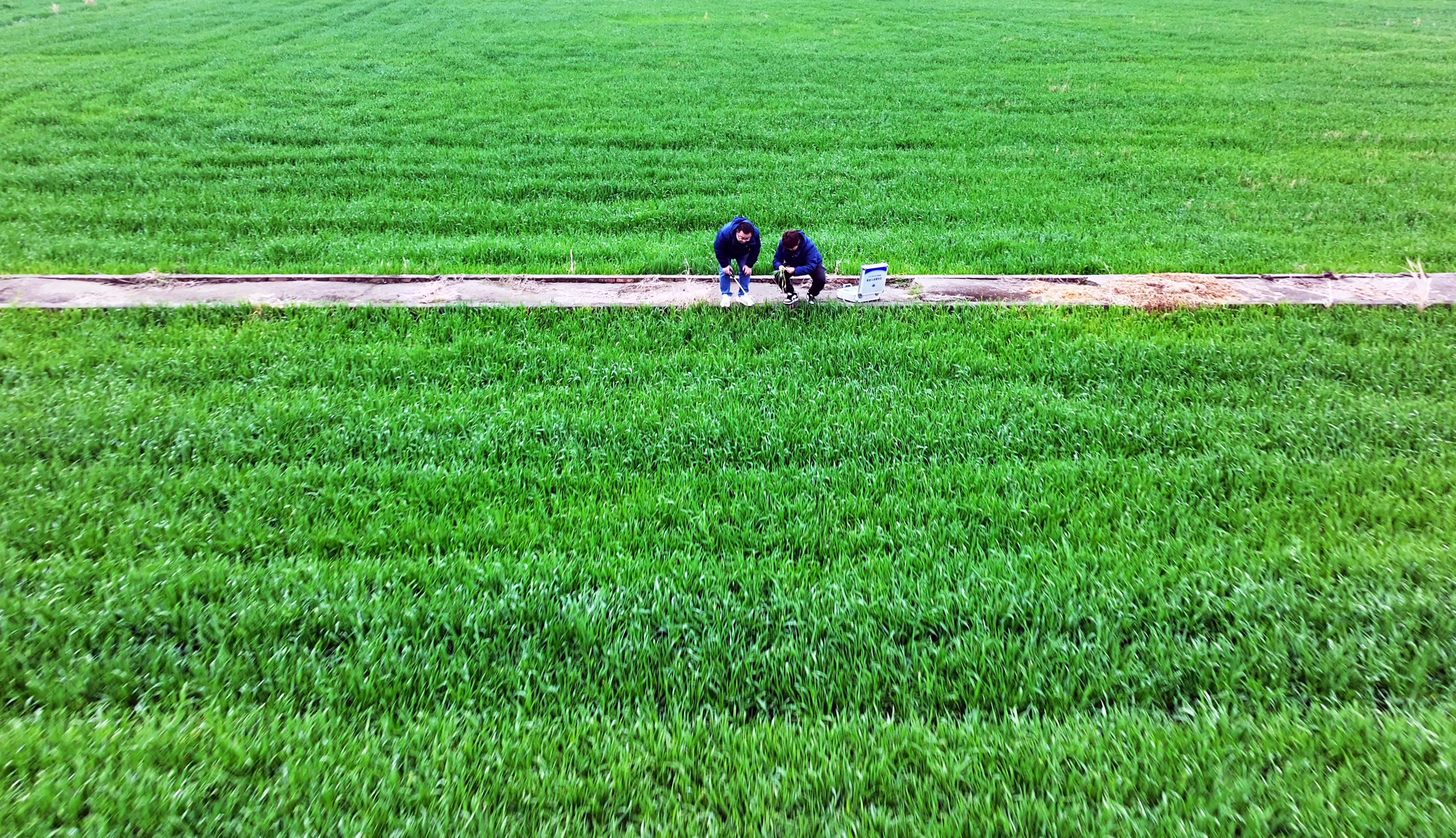 服务春耕：农化服务当先锋添动力