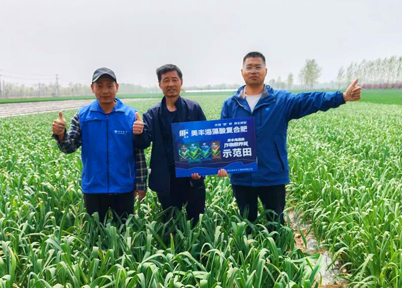 乐天使fun88登录入口肥料助力中原蒜乡喜丰收