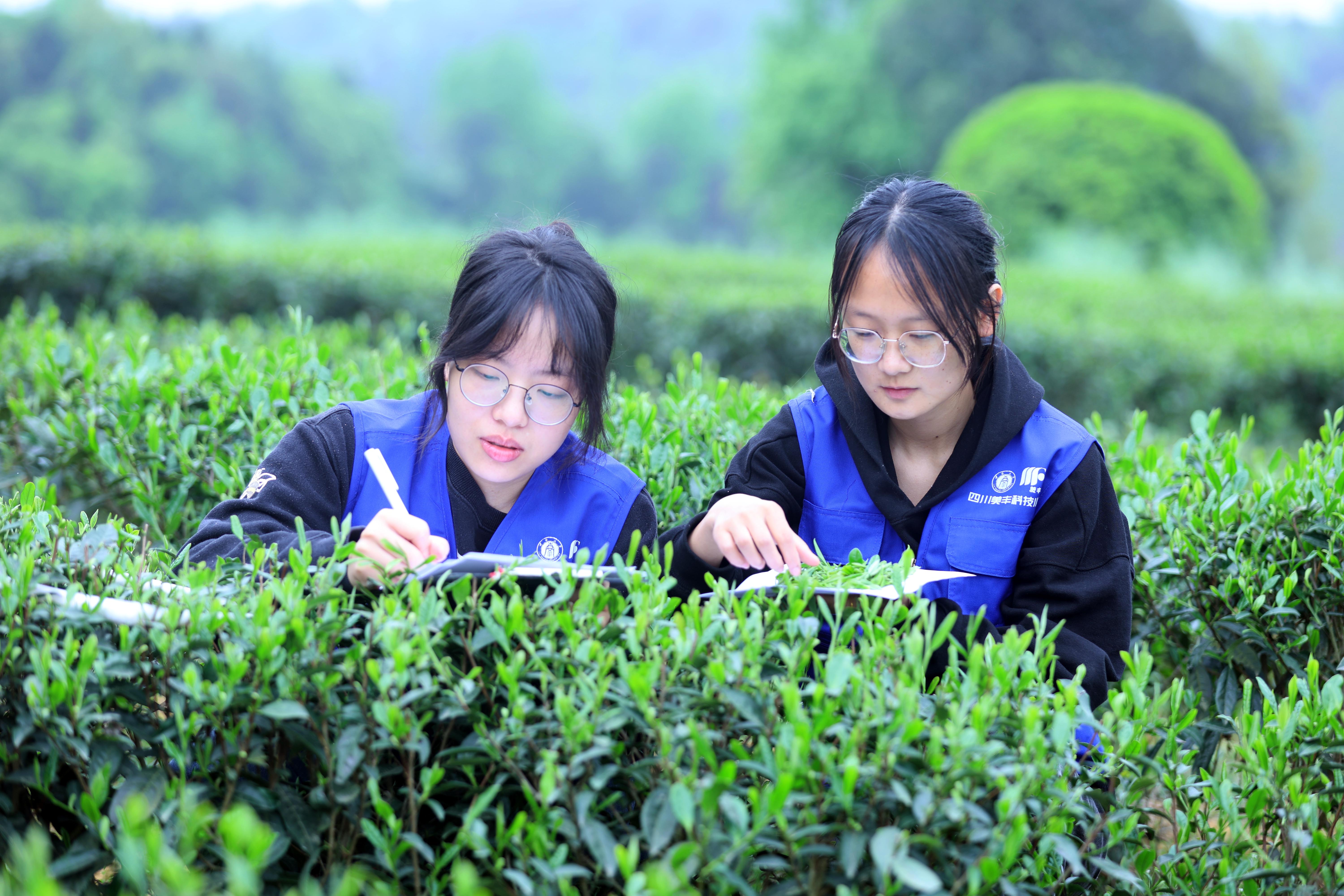 FUN88乐天使在线登录共建的两所科技小院获评优秀