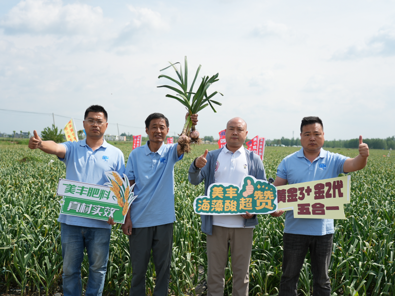 夏攻行动：FUN88乐天使在线登录护航夏粮丰产丰收