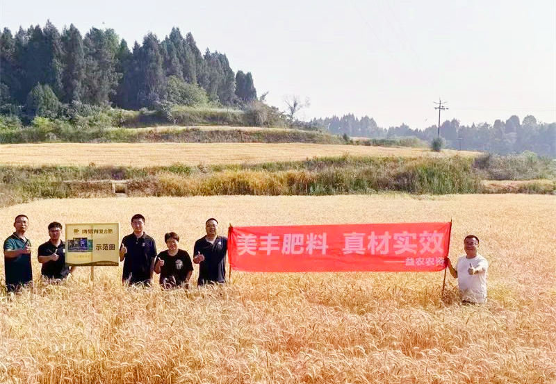 夏攻行动：乐天使fun88登录入口方案助力小麦增收