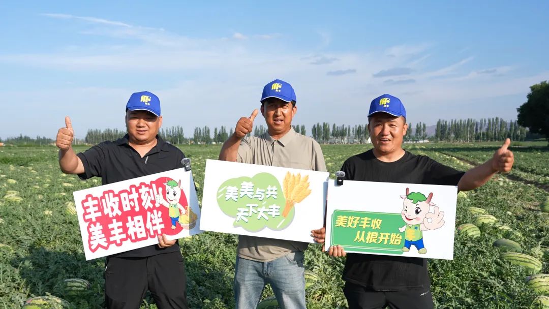 乐天使fun88登录入口肥助力硒砂瓜亩产过万斤